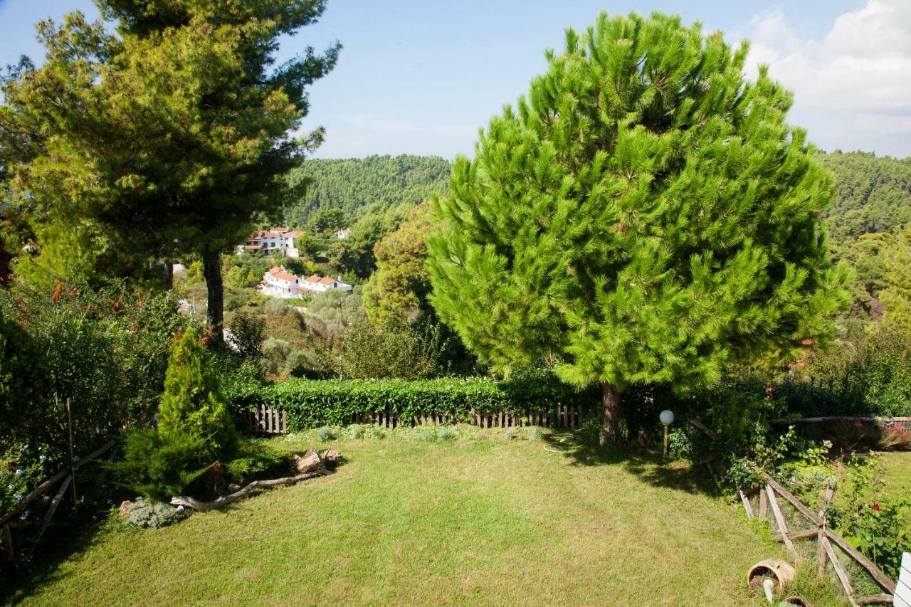 Elani Beautiful Villa Siviri Exteriör bild